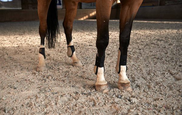 газонная решетка для безопасности копыт