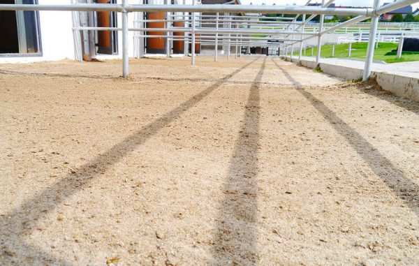 стойло укрепленное газонной решеткой