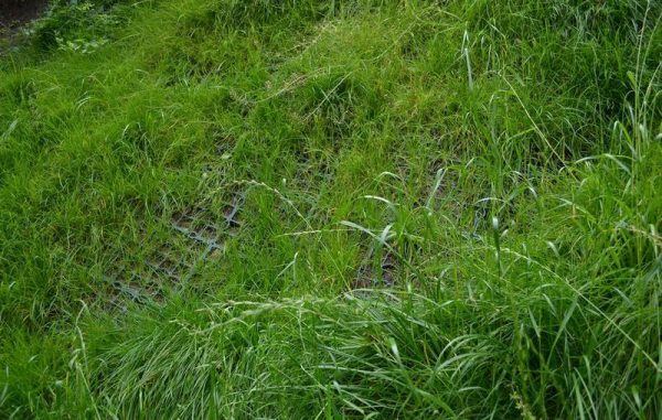 газонная решетка на склоне заросшем травой