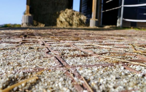 маленький секрет газонной решетки ECORASTER для лошади